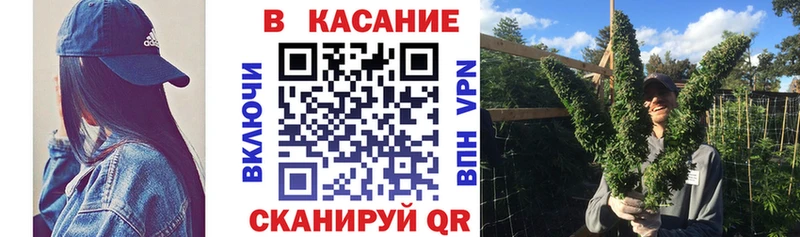 Где продают наркотики Светогорск COCAIN Псилоцибиновые грибы APVP МАРИХУАНА ГАШИШ МЕФ