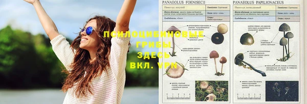 кокаин Белокуриха
