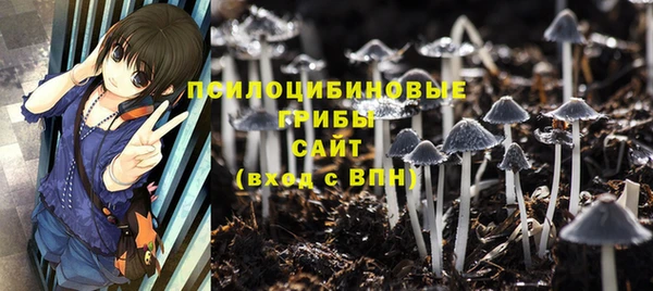 кокаин Белокуриха