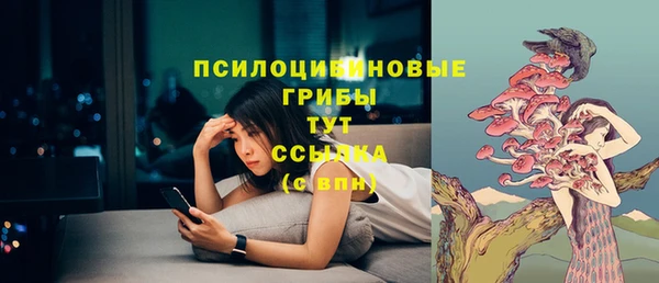 кокаин Белокуриха